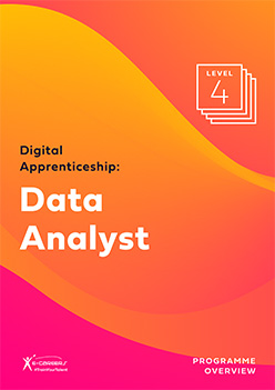 Data Analyst