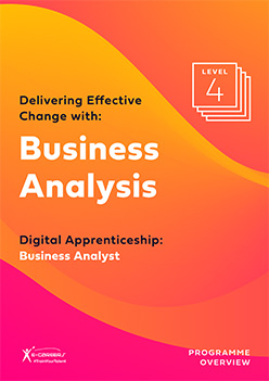 Business Analyst