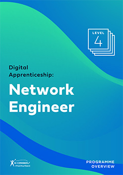 Network Engineer
